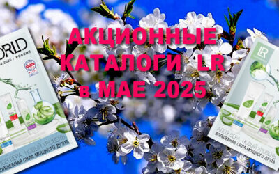 Акции компании месяца 2025 года. Электронные каталоги