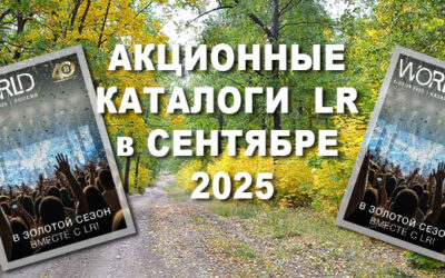 Акции компании месяца 2025 года. Электронные каталоги